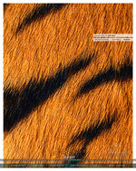 Realistic Tiger Print PREMIUM Curtain Panel. Available on 12 Fabrics, Heavy & Sheer, Made to Order. 100178